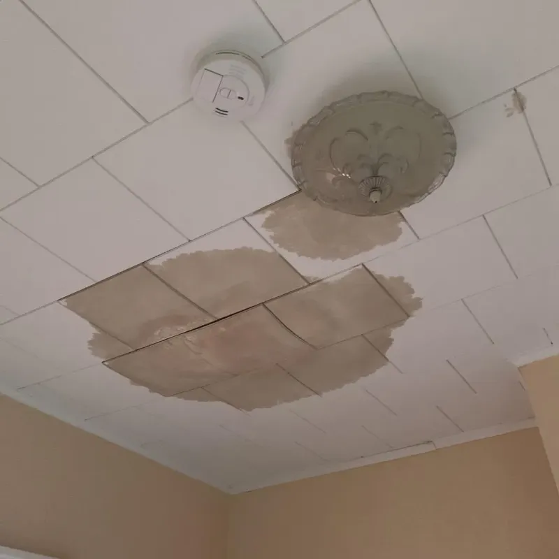 Ceiling Water Damage Repair in Tustin, CA